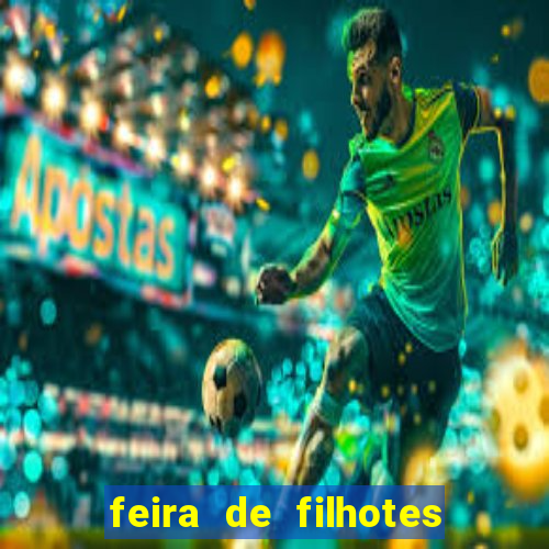 feira de filhotes porto alegre